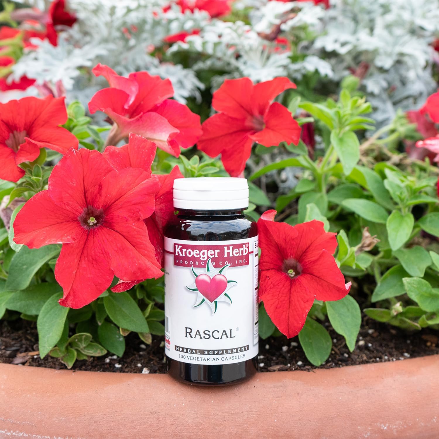 Kroeger Herb Rascal Herbal Supplement for Gut & Heart Health - Garlic, Cayenne, Thyme, Pumpkin Seeds - Vegetarian, Non-GMO, Gluten Free - Supports Microbial Balance - Made in USA