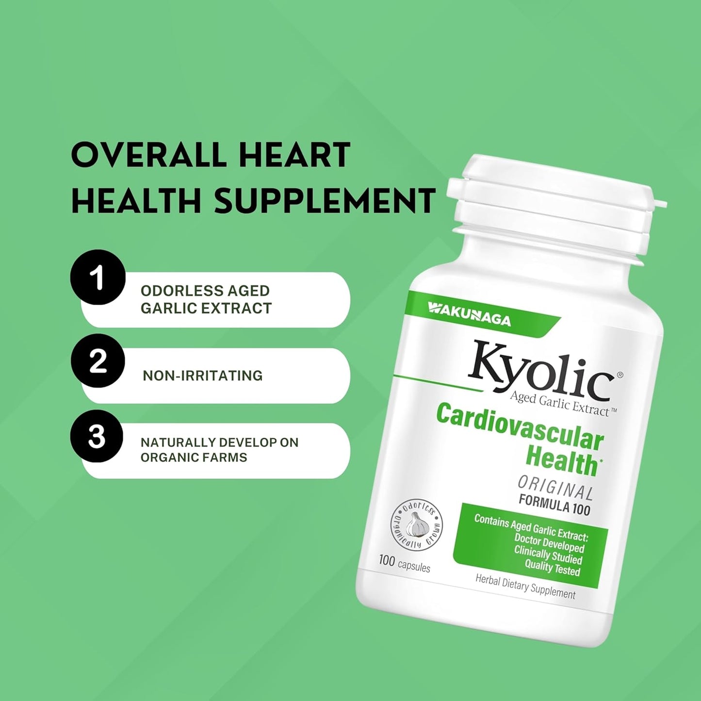 Kyolic Aged Garlic Extract Formula 100 Capsules Bundle with Multi-Purpose Key Chain - Worldwide Nutrition