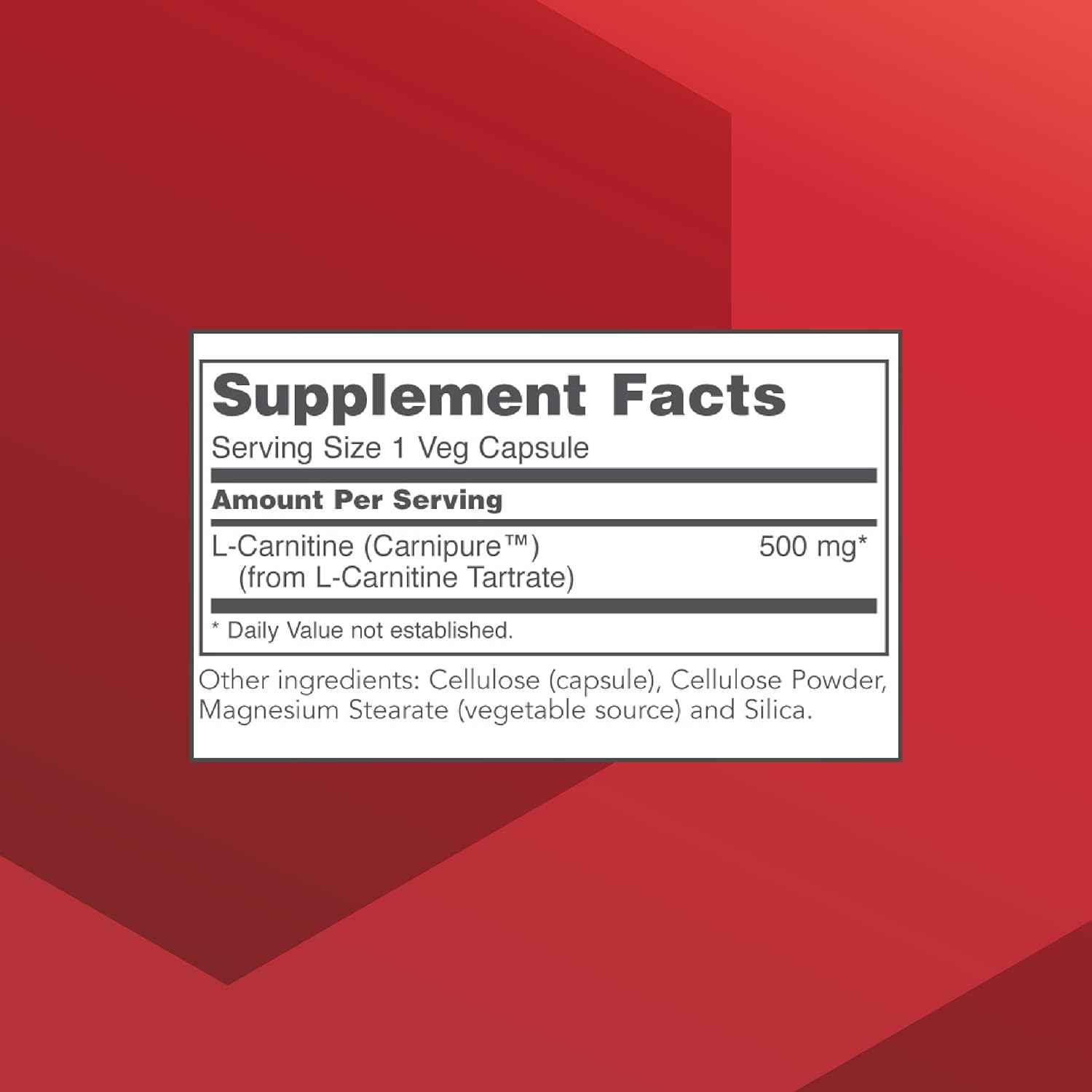 L-Carnitine 500mg Supplement for Cell Energy Metabolism and Exercise Performance - 60 Vegetarian Capsules by Protocol for Life Balance