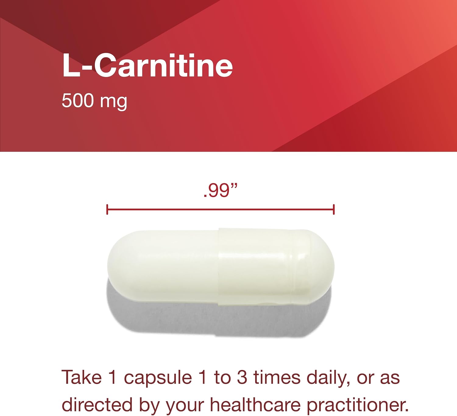 L-Carnitine 500mg Supplement for Cell Energy Metabolism and Exercise Performance - 60 Vegetarian Capsules by Protocol for Life Balance