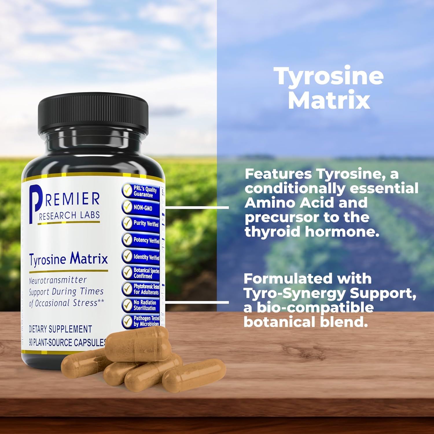 L Tyrosine Supplement with Red Algae & Rhodiola Rosea - 944mg Capsules for Adults - 90 Vegetarian Capsules by Premier Research Labs