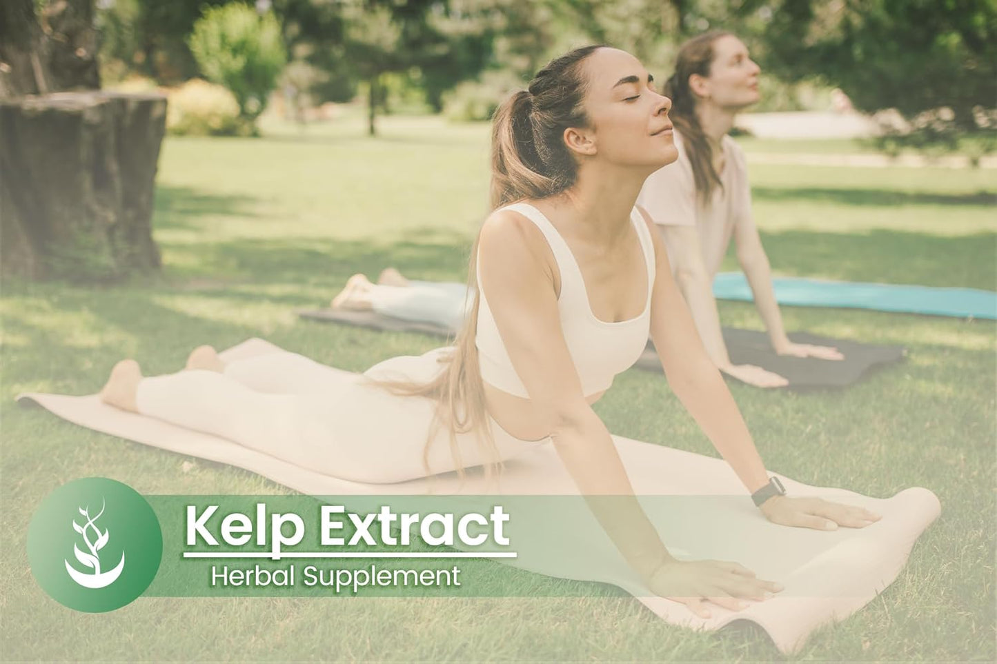 Lab Verified Kelp Extract Capsules - 100 Pure Original Ingredients, No Additives or Fillers