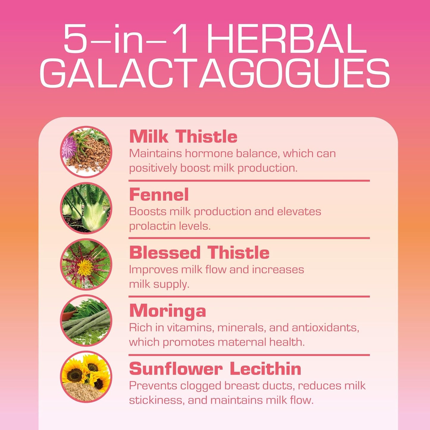 Lactation Support Gummies with Blessed Thistle and Fennel Seed for Increased Milk Supply