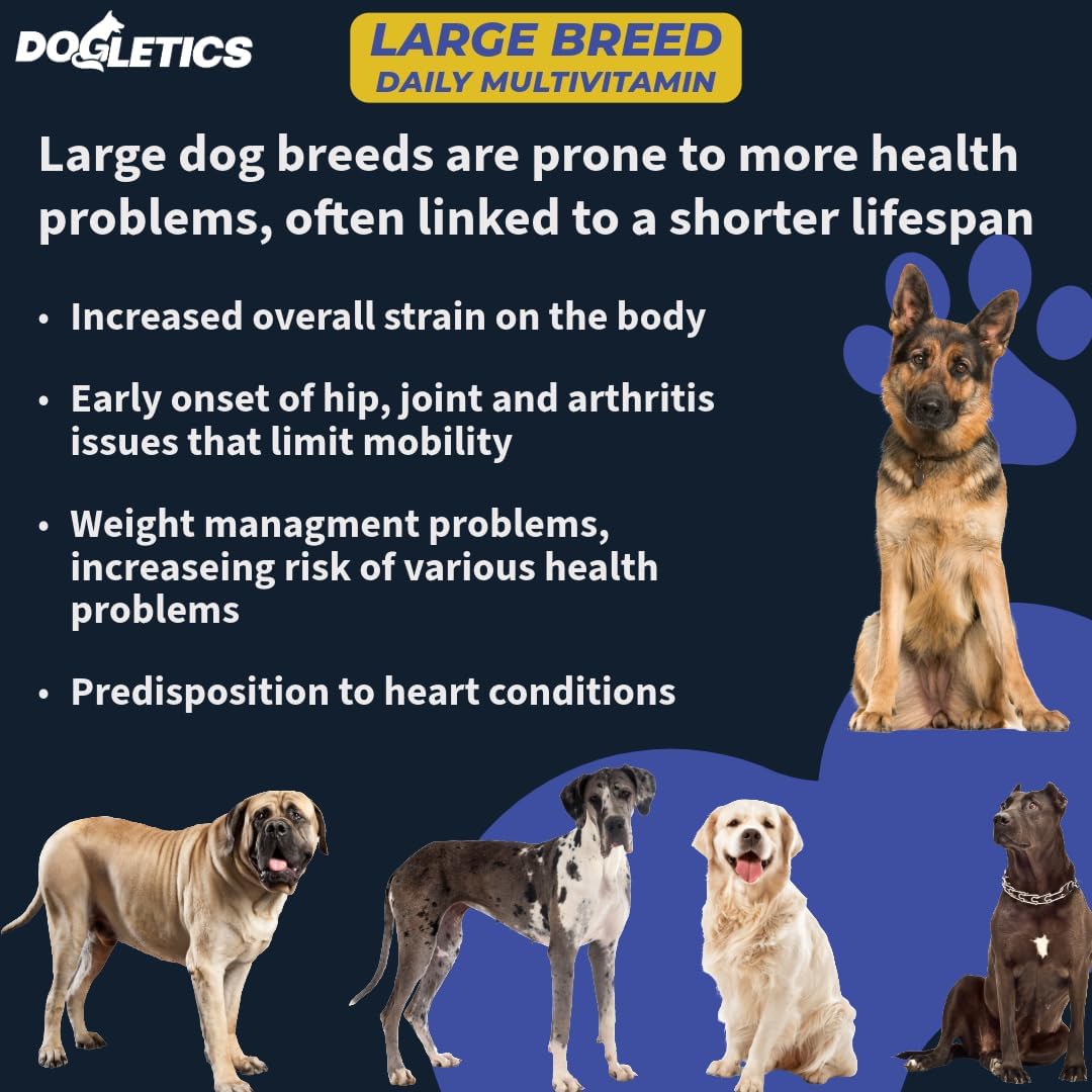 Large Breed Daily Multivitamin for Dogs - 90ct Bacon Flavored Chewables, Tailored for Large Dog Health