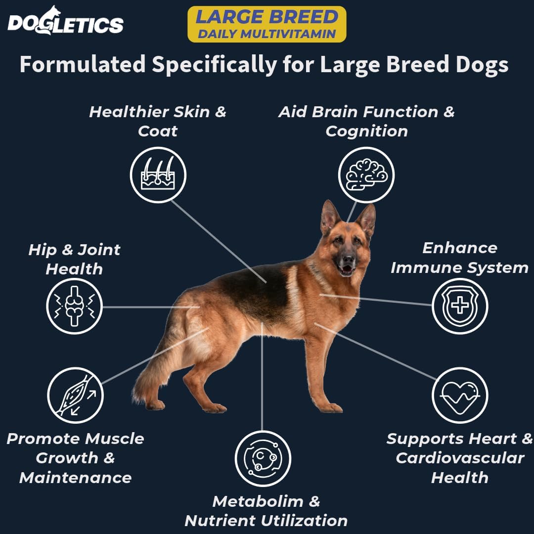 Large Breed Daily Multivitamin for Dogs - 90ct Bacon Flavored Chewables, Tailored for Large Dog Health
