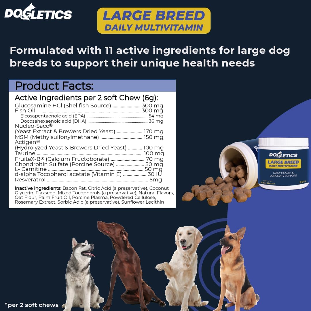Large Breed Daily Multivitamin for Dogs - 90ct Bacon Flavored Chewables, Tailored for Large Dog Health