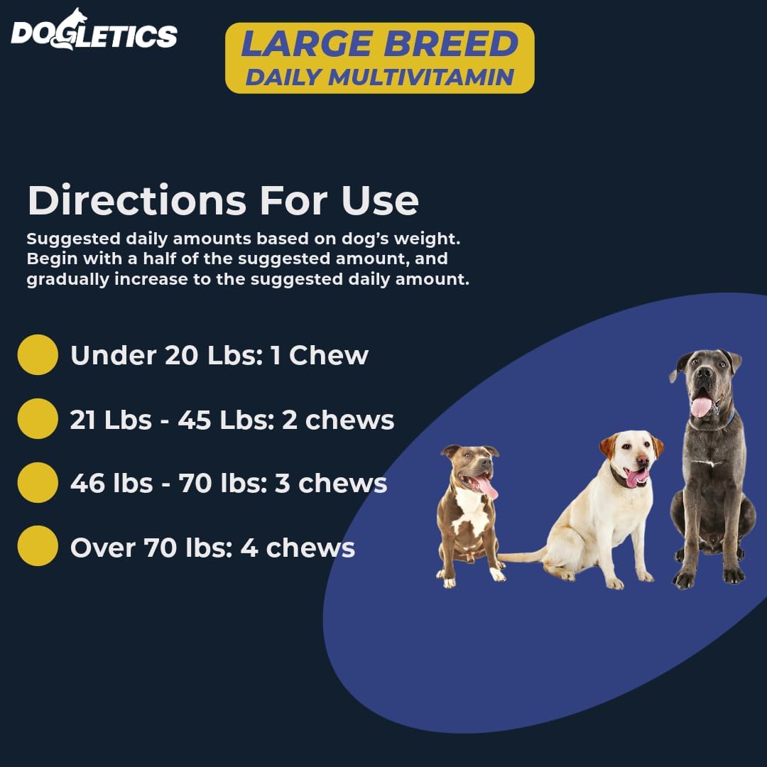 Large Breed Daily Multivitamin for Dogs - 90ct Bacon Flavored Chewables, Tailored for Large Dog Health