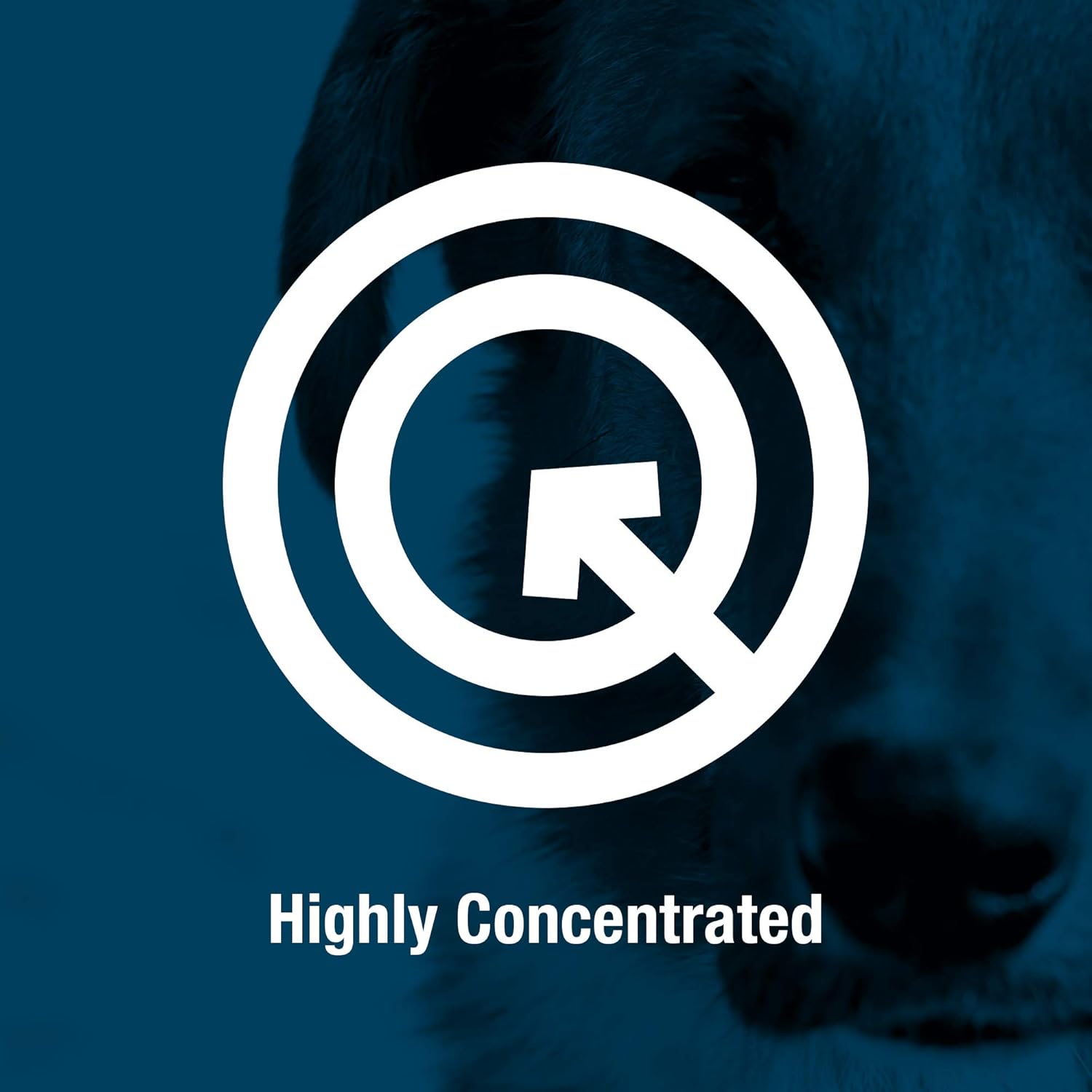 Large Dog Omega 3 Fatty Acid Capsules for Immune & Joint Health - 250 Count