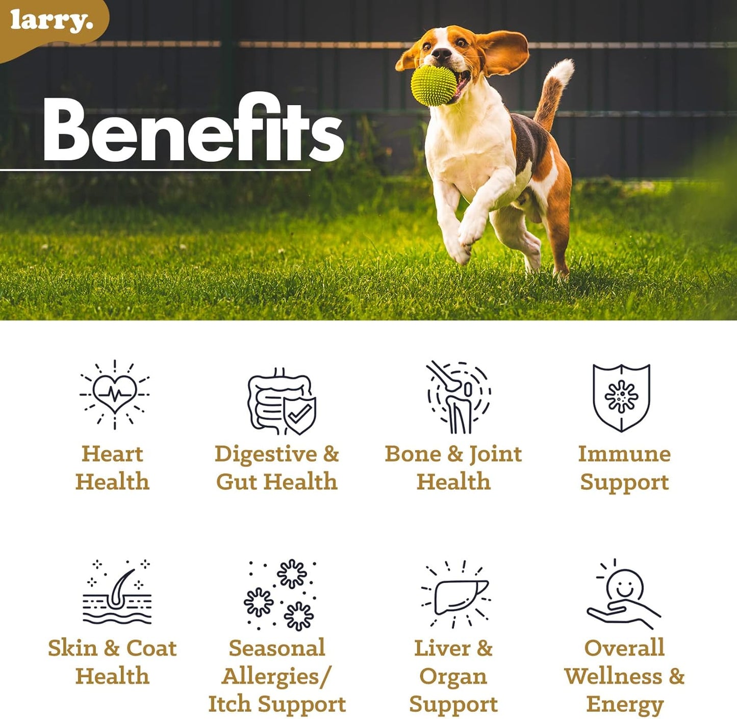 Larry's 8-in-1 Multivitamin Dog Supplement | Heart, Digestion, Liver, Skin, Coat, & Joint Support | Vitamins, Minerals, Omegas, & Glucosamine Chondroitin | 120 Soft Chews