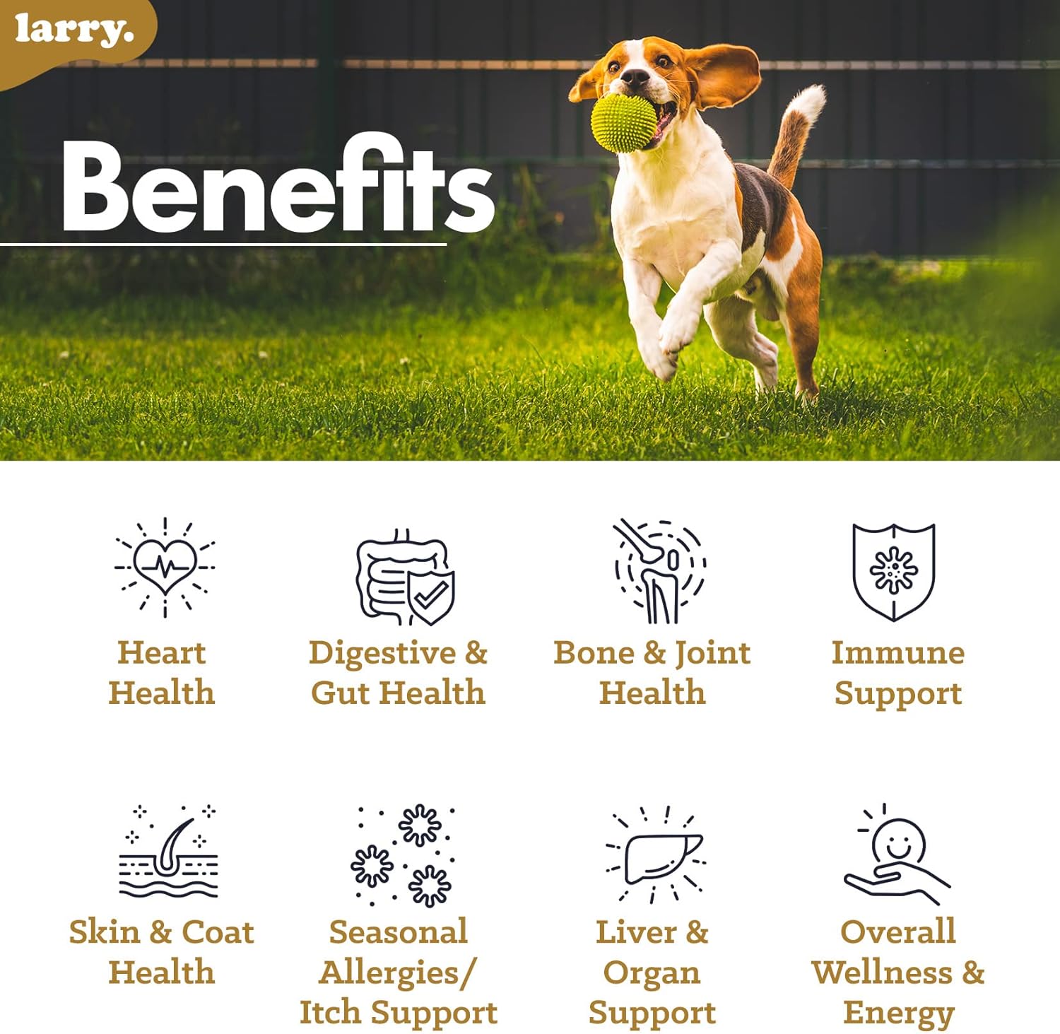 Larry's 8-in-1 Multivitamin Dog Supplement | Heart, Digestion, Liver, Skin, Coat, & Joint Support | Vitamins, Minerals, Omegas, & Glucosamine Chondroitin | 120 Soft Chews