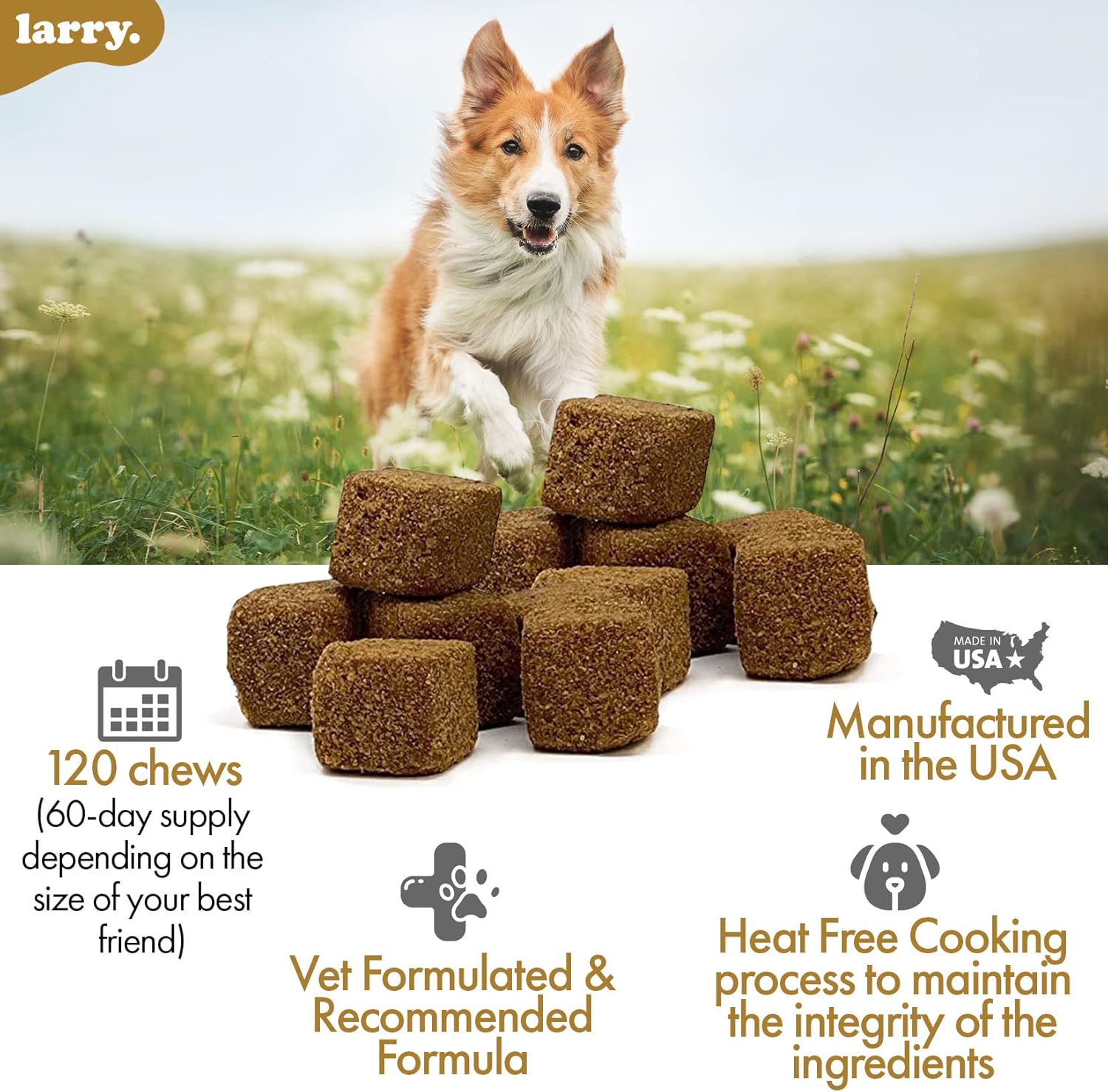 Larry's 8-in-1 Multivitamin Dog Supplement | Heart, Digestion, Liver, Skin, Coat, & Joint Support | Vitamins, Minerals, Omegas, & Glucosamine Chondroitin | 120 Soft Chews