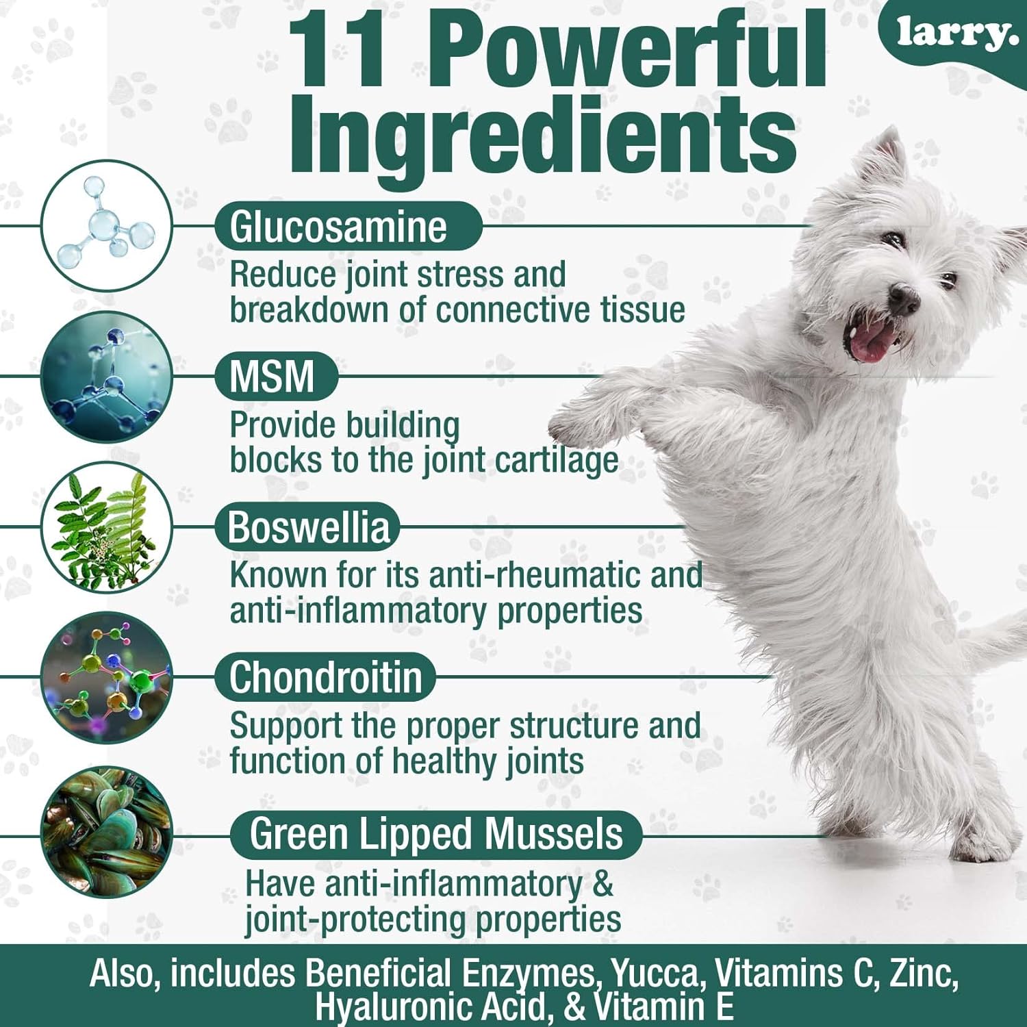 Larry's Dog Hip and Joint Care Supplement with Chondroitin, MSM, Hyaluronic Acid & Glucosamine - 120 Soft Chews for All Breeds & Sizes