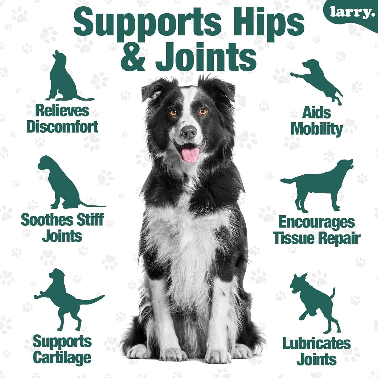 Larry's Dog Hip and Joint Care Supplement with Chondroitin, MSM, Hyaluronic Acid & Glucosamine - 120 Soft Chews for All Breeds & Sizes