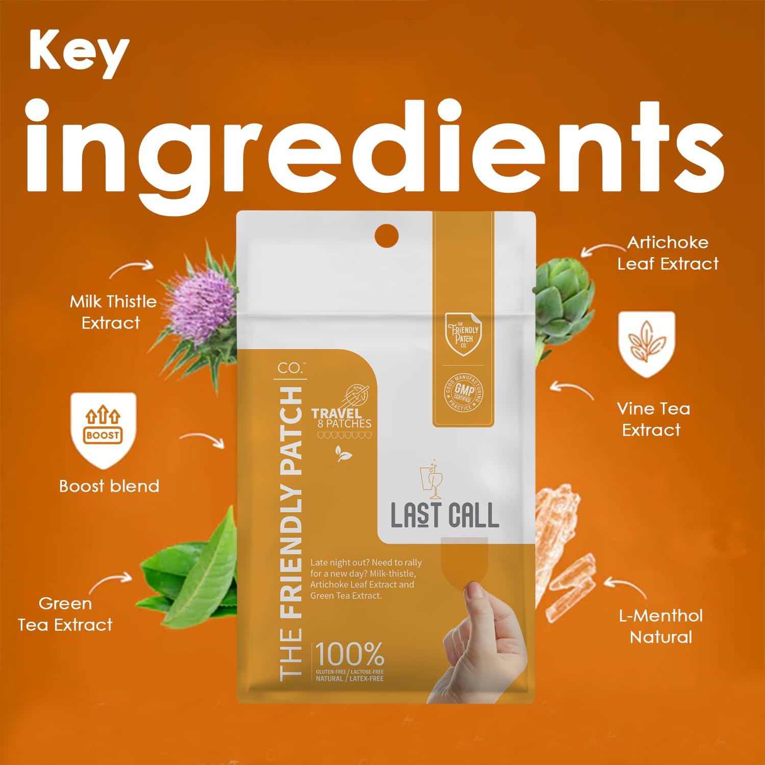 Late Night Out Wellness Patch - Plant Powered Wearable Patches with Vine Tea, Caffeine, Milk Thistle, Artichoke Leaf Extract - 8 Pack by The Friendly Patch