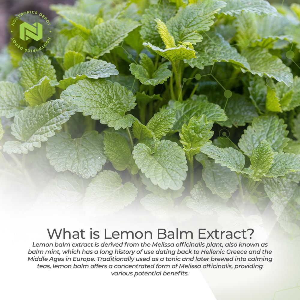 Lemon Balm Extract Tablets | 500mg | 120 Count | Nootropics Depot 10:1 Water Ethanol Extract