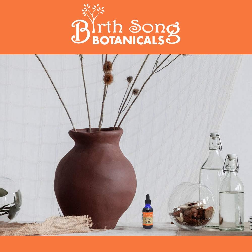 Let There Be Milk! Herbal Breastfeeding Tincture for Lactating Moms - Fenugreek & Goat's Rue, Alcohol-Free, 2oz
