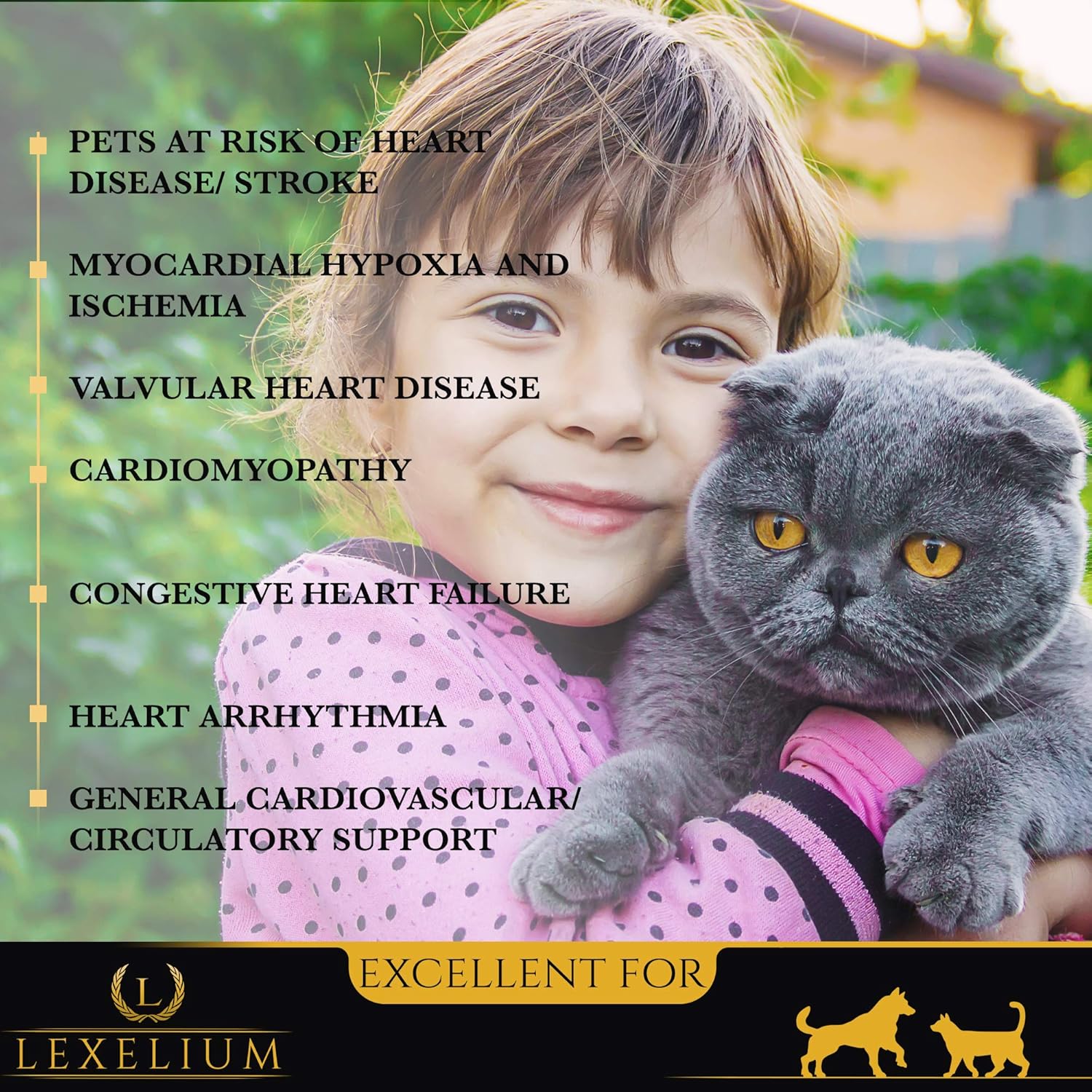 Lexelium Heart Health Supplement for Dogs and Cats - Supports Cardiovascular Health with Taurine - Promotes Healthy Hearts & Circulation - 200g Powder
