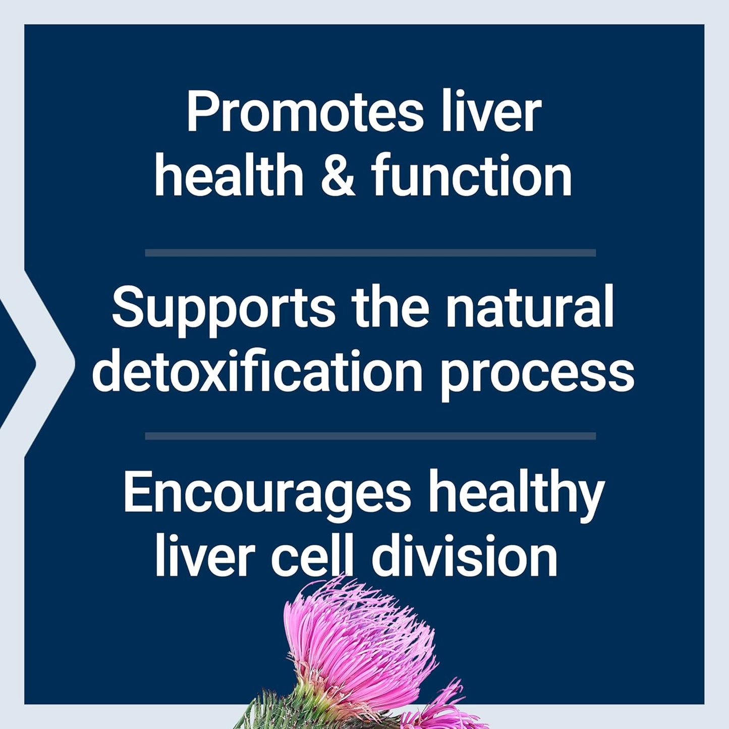 Life Extension Advanced Milk Thistle Softgels for Healthy Liver Function, Gluten-Free, Non-GMO - 60 Count