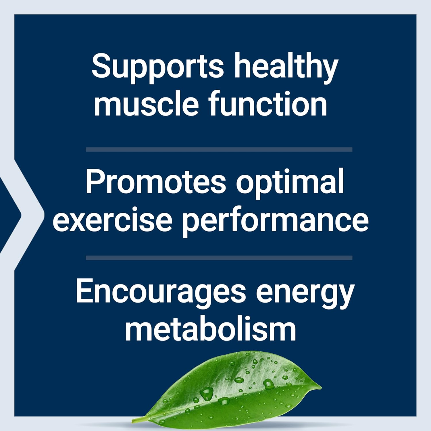 Life Extension Creatine Monohydrate Capsules - Enhances Strength, Lean Muscle, Endurance - Non-GMO, Gluten-Free - 120 Capsules