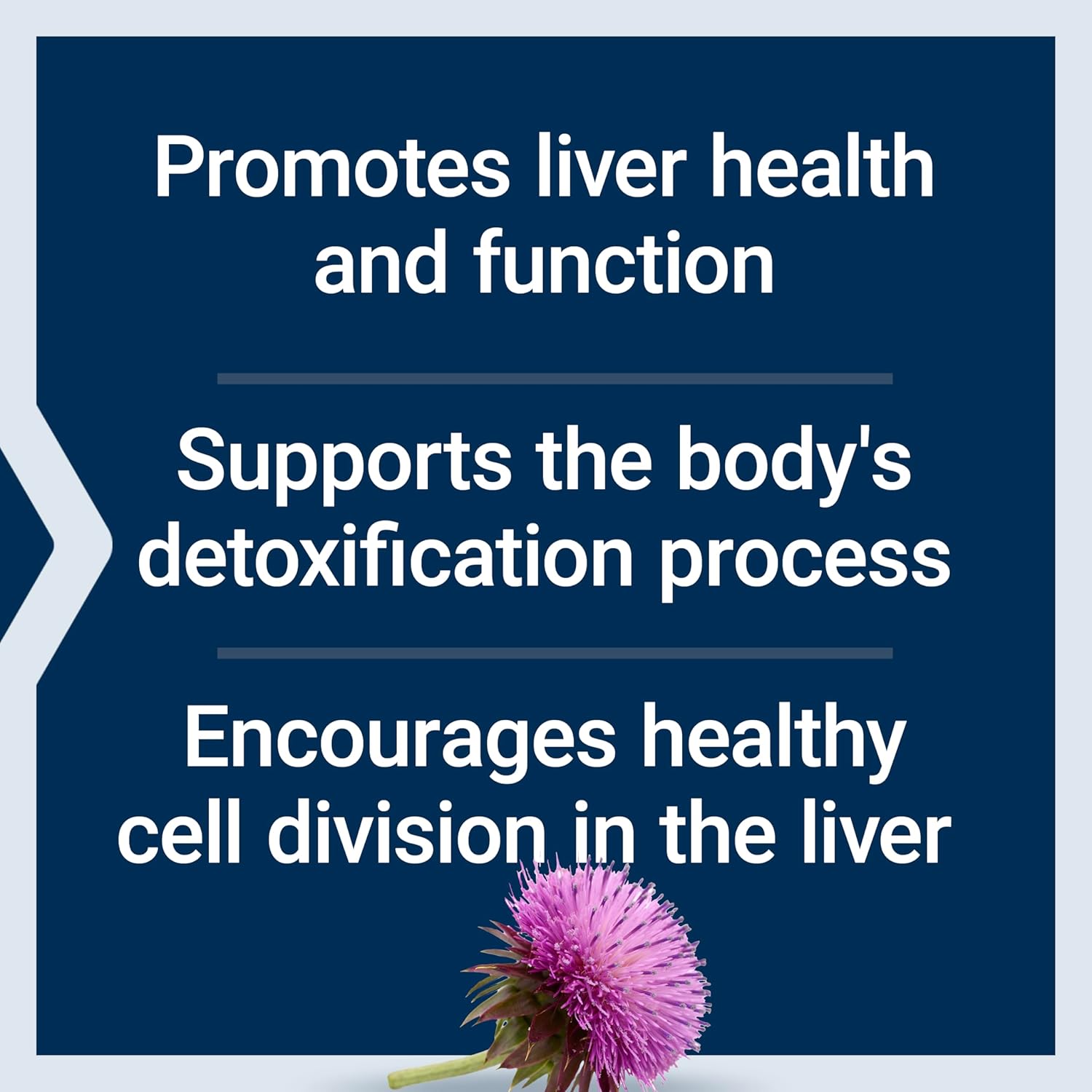 Life Extension Milk Thistle Capsules - Full-Spectrum Liver Health Support, Non-GMO & Gluten-Free, 60 Vegetarian Capsules