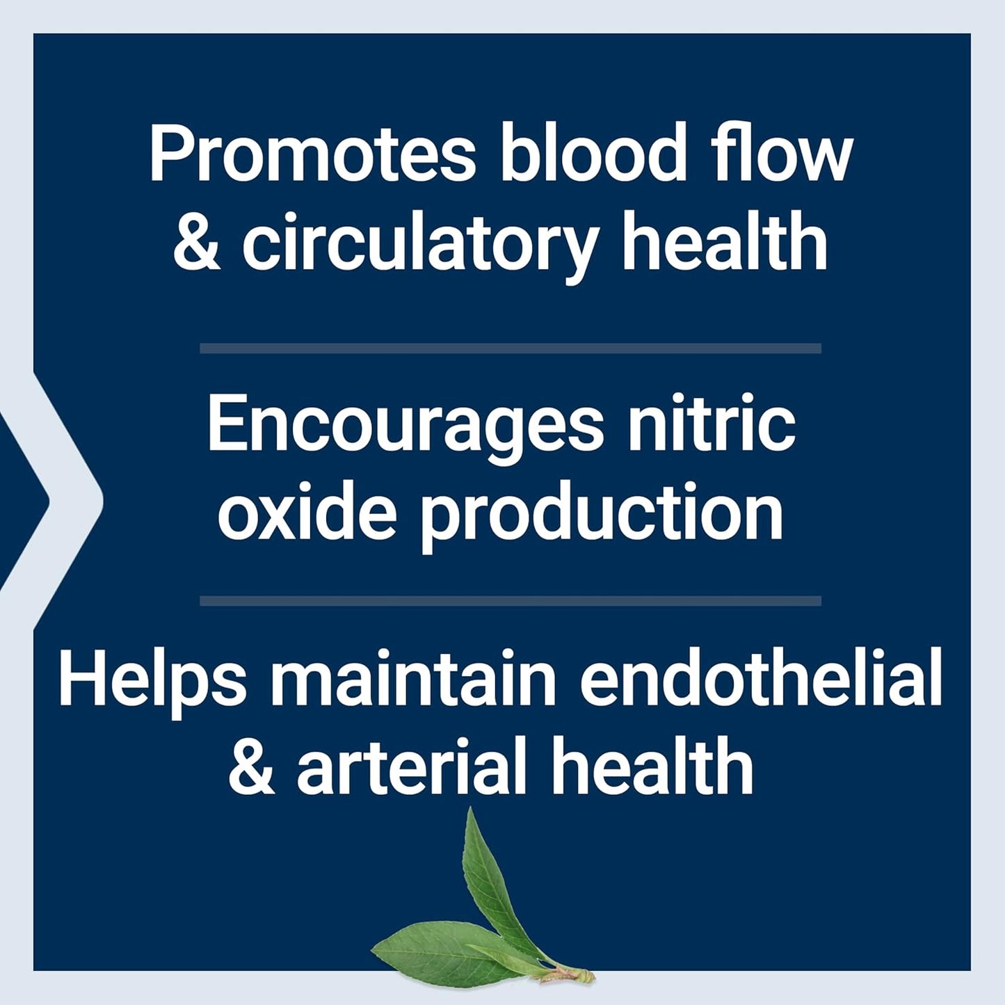 Life Extension NitroVasc Boost: Blood Flow and Heart Health Supplement with L-arginine, Gluten-Free, Non-GMO, Vegetarian - 30 Servings