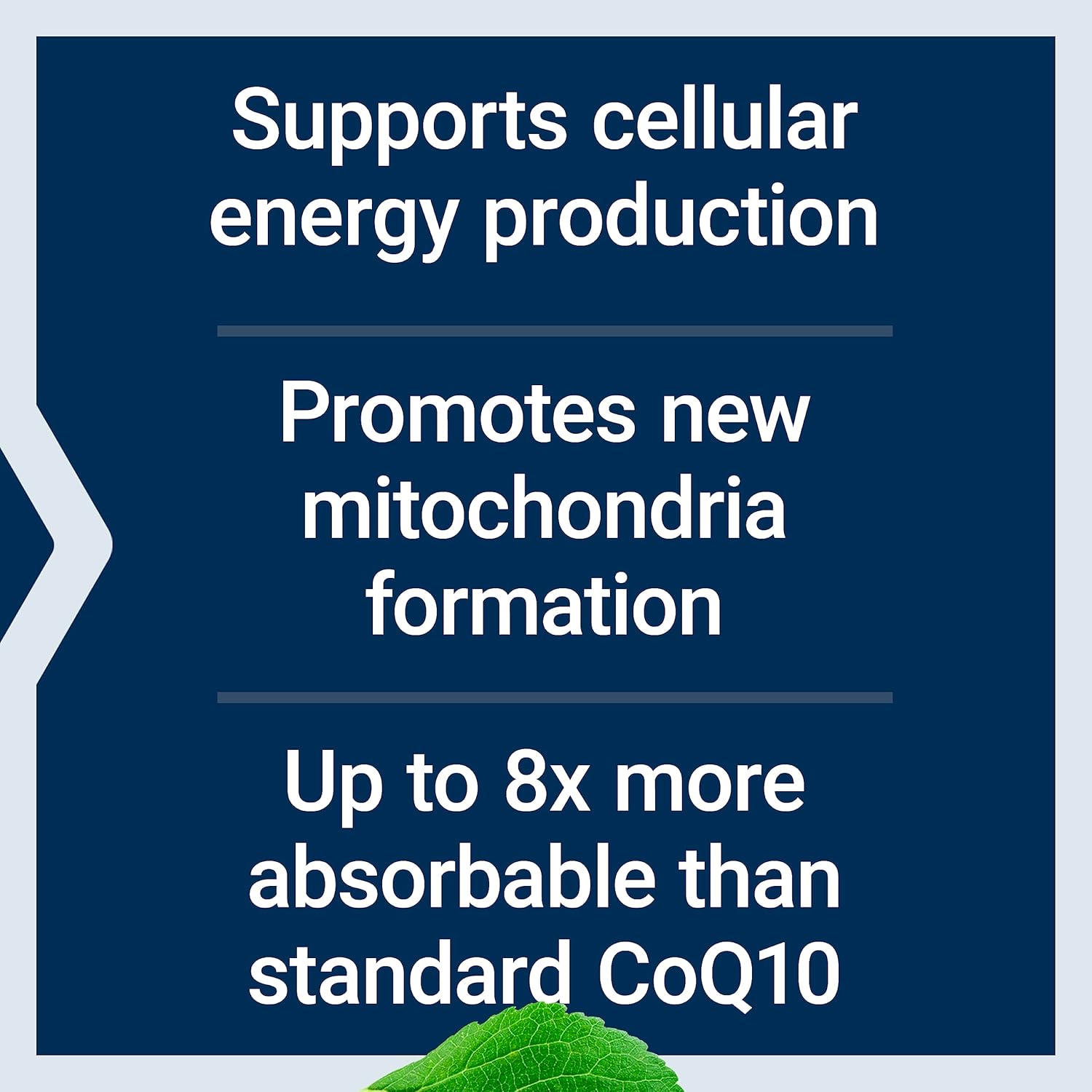 Life Extension Super Ubiquinol CoQ10 with PQQ and NAC for Immune, Respiratory, and Liver Health