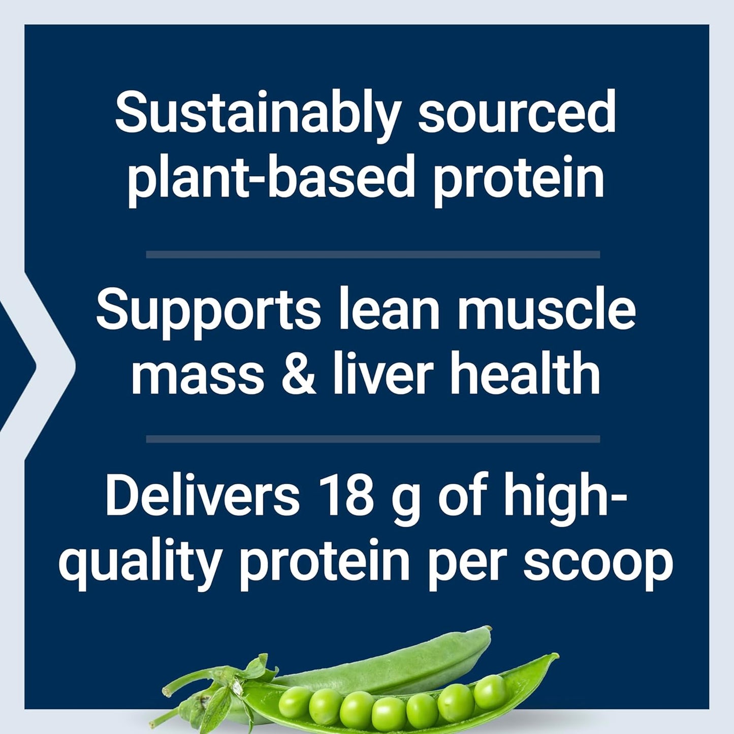 Life Extension Wellness Code® Vanilla Plant Protein Powder with Amino Acids - 450 Grams, Gluten-Free, Non-GMO, Vegetarian