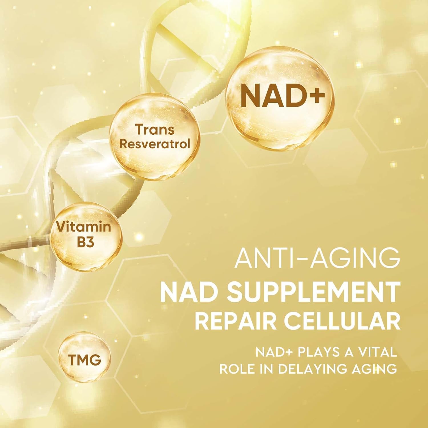 Life Nutrition NAD Supplement 1000mg - 120 Capsules for Anti-Aging with True NAD+ & Resveratrol, NMN Alternative