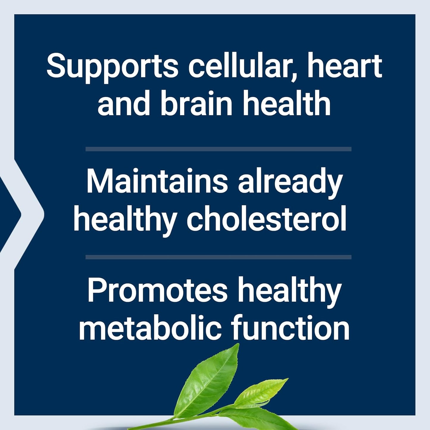 Lightly Caffeinated Mega Green Tea Extract Capsules - High EGCG Polyphenol Content, Gluten-Free, Non-GMO, Vegetarian - 100 Count