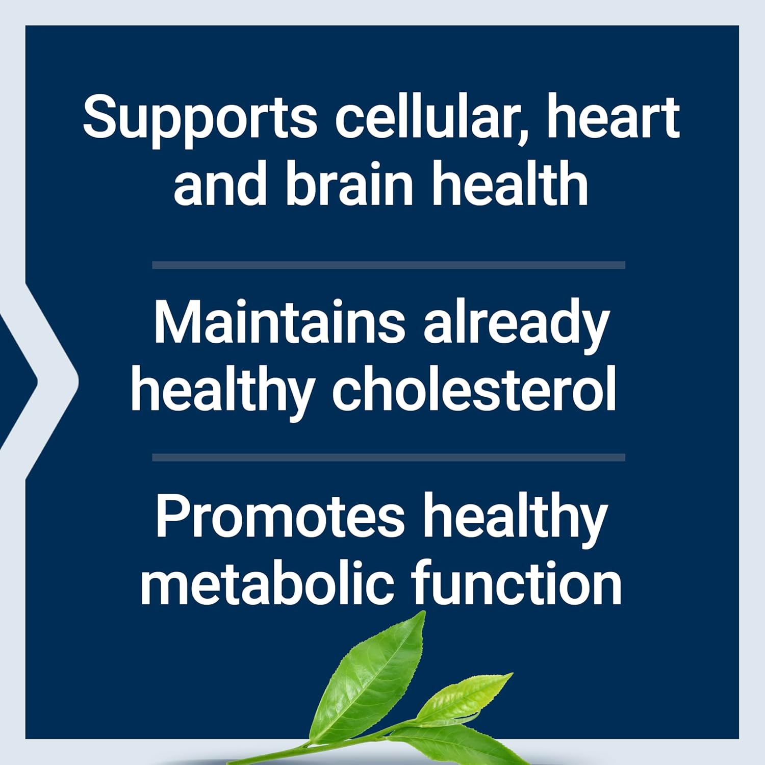 Lightly Caffeinated Mega Green Tea Extract Capsules - High EGCG Polyphenol Content, Gluten-Free, Non-GMO, Vegetarian - 100 Count