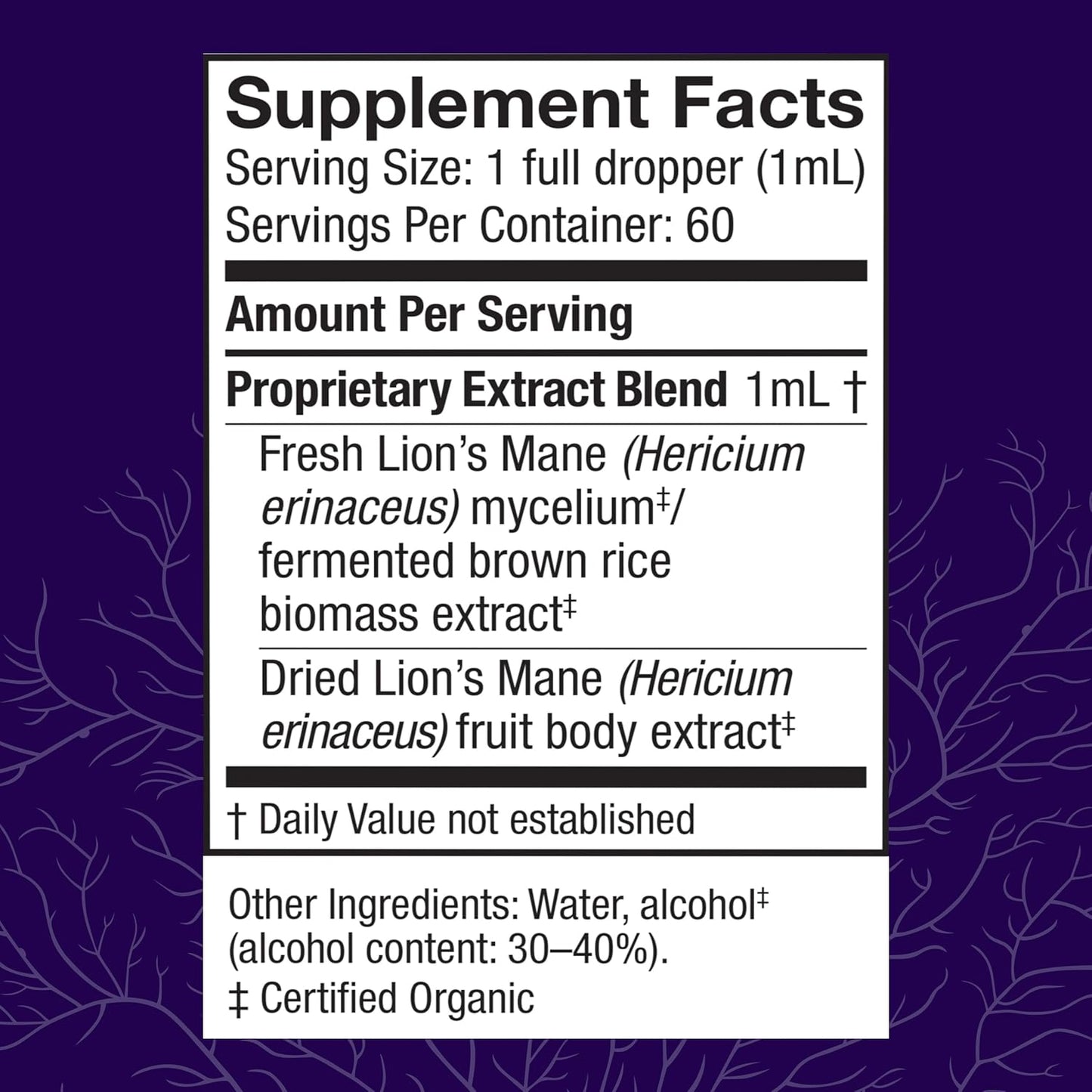 Lion's Mane Brain Health Supplement - Focus, Memory, Immune & Nervous System Support - 2 fl oz
