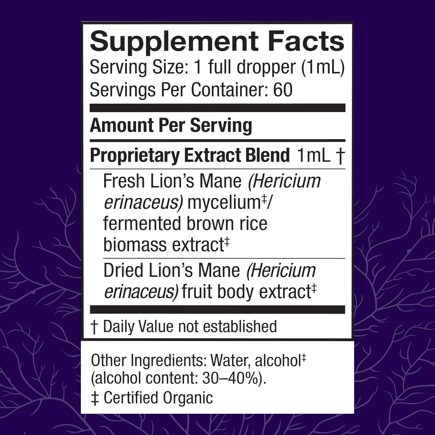 Lion's Mane Brain Health Supplement - Focus, Memory, Immune & Nervous System Support - 2 fl oz