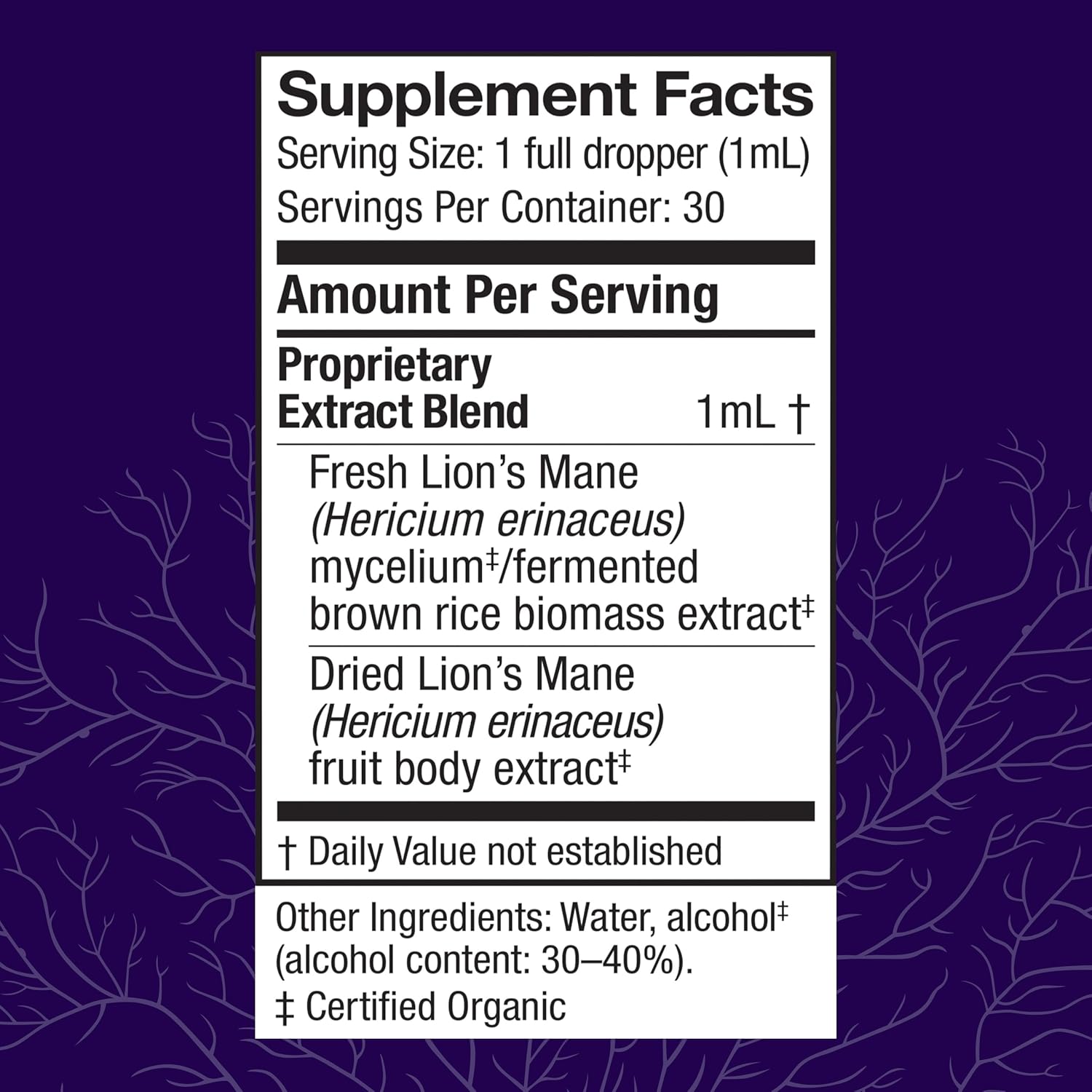 Lion's Mane Extract Supplement - Brain Health & Immune Support - Focus, Memory, & Nervous System Function - 1 fl oz