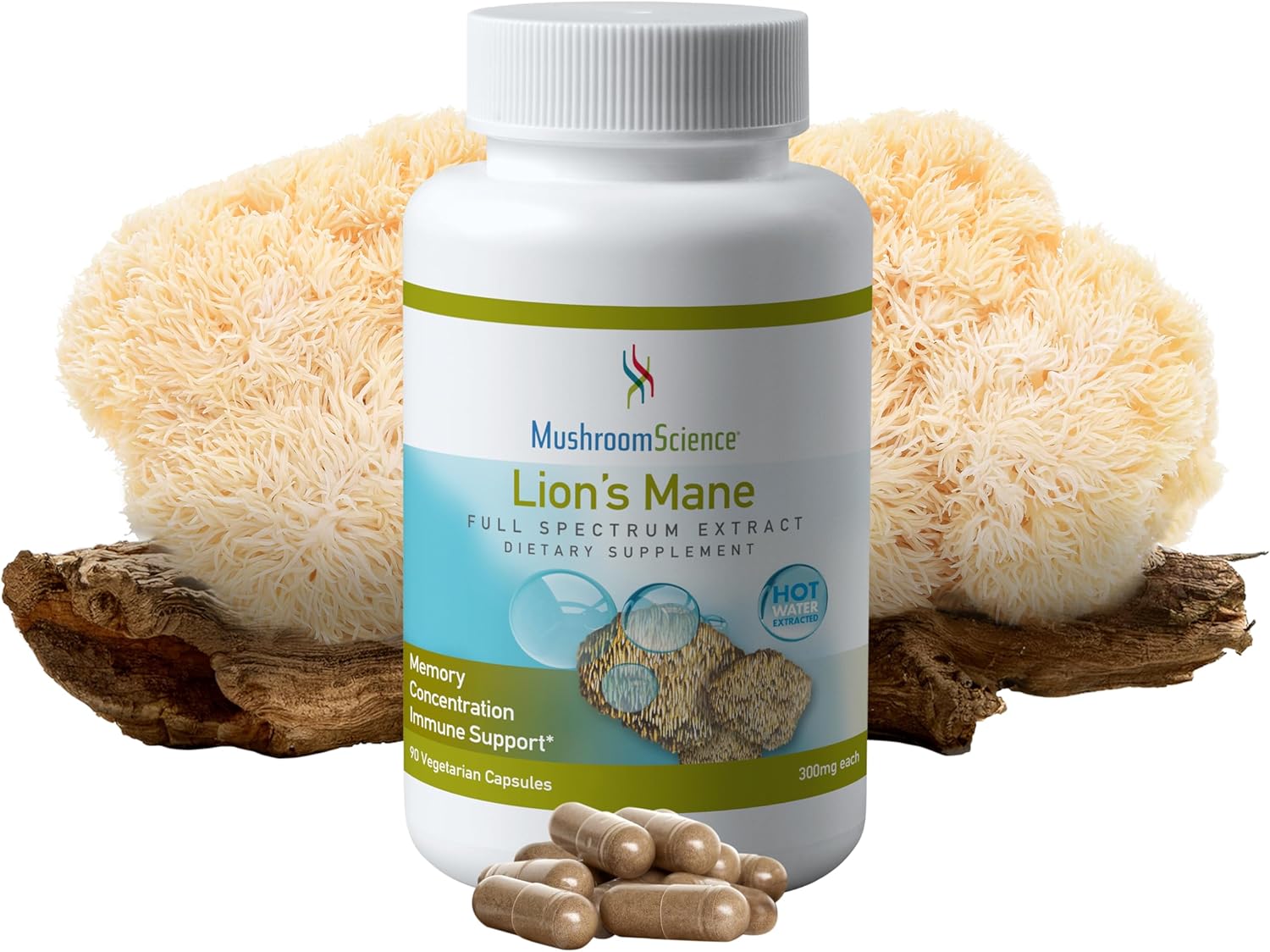Lions Mane Mushroom Capsules for Memory & Concentration Support - 90 CT, Vegetarian Full Spectrum Extract Supplement