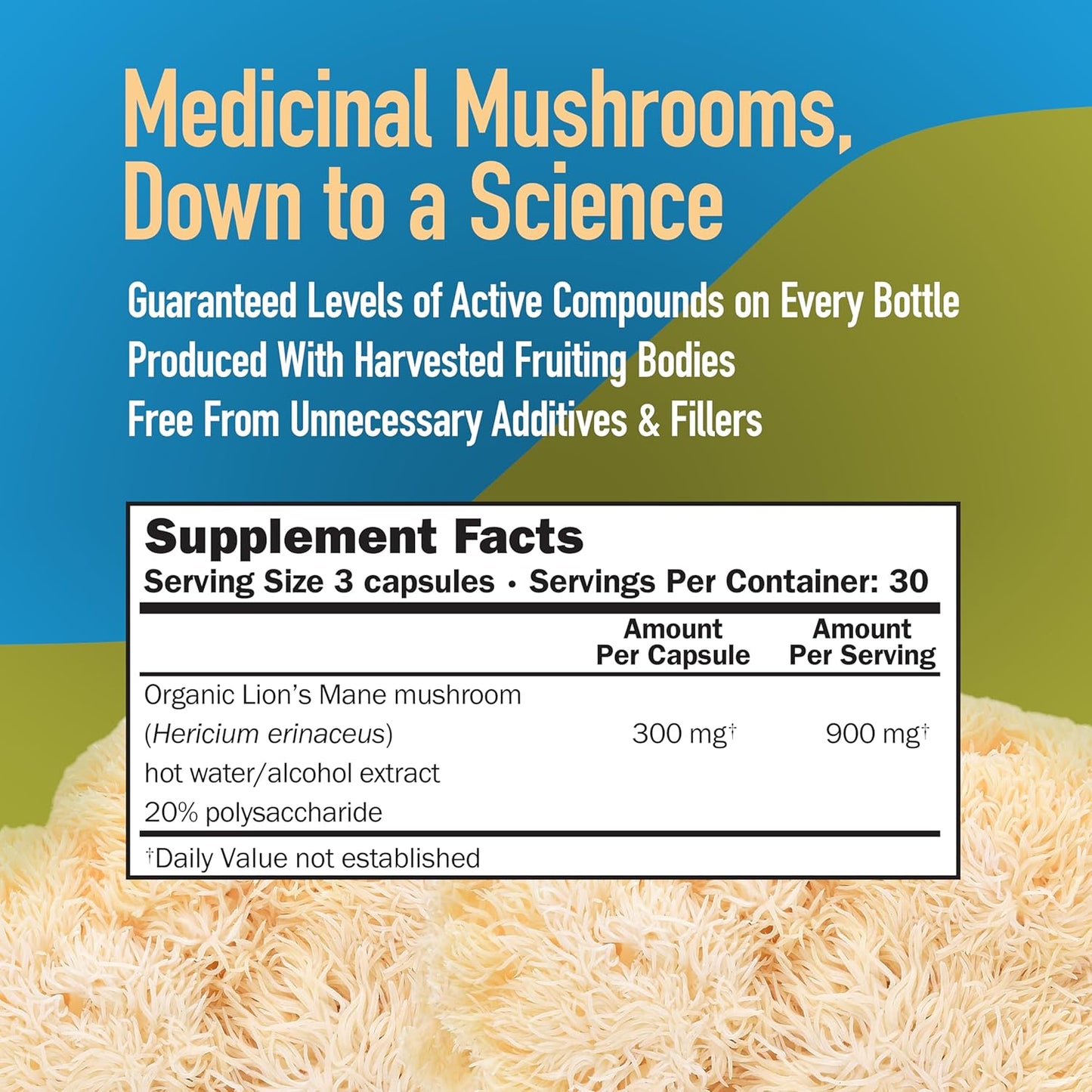 Lions Mane Mushroom Capsules for Memory & Concentration Support - 90 CT, Vegetarian Full Spectrum Extract Supplement