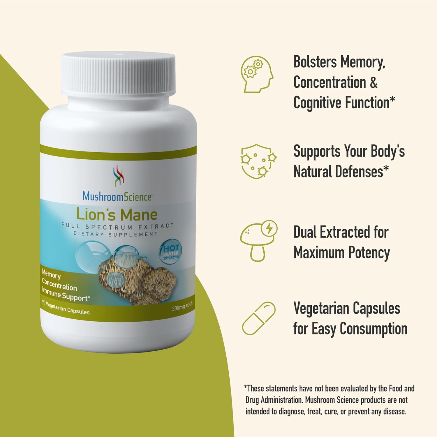 Lions Mane Mushroom Capsules for Memory & Concentration Support - 90 CT, Vegetarian Full Spectrum Extract Supplement