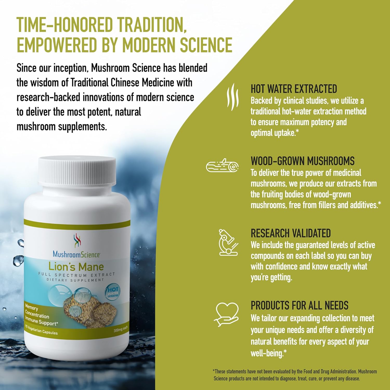 Lions Mane Mushroom Capsules for Memory & Concentration Support - 90 CT, Vegetarian Full Spectrum Extract Supplement