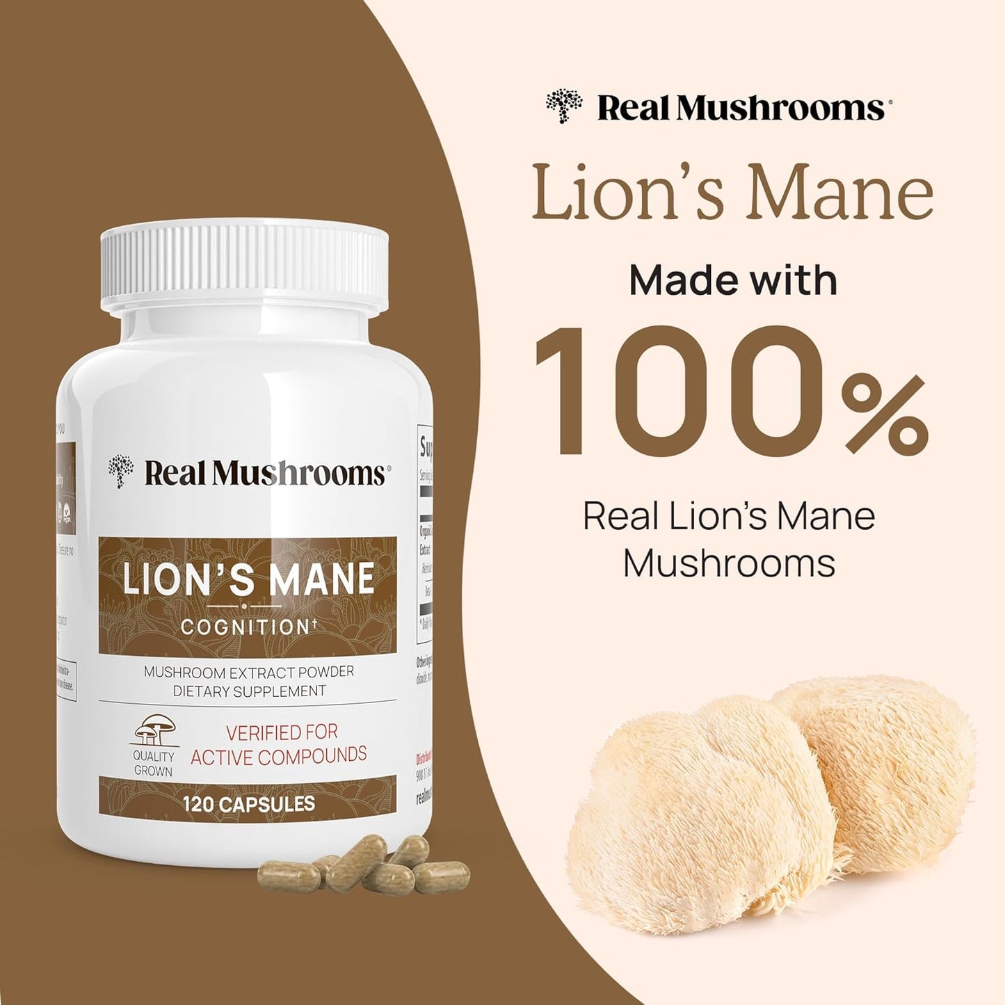 Lions Mane Mushroom Extract Capsules for Cognitive Support (120 Capsules) | Brain Boosting Supplement for Focus and Memory