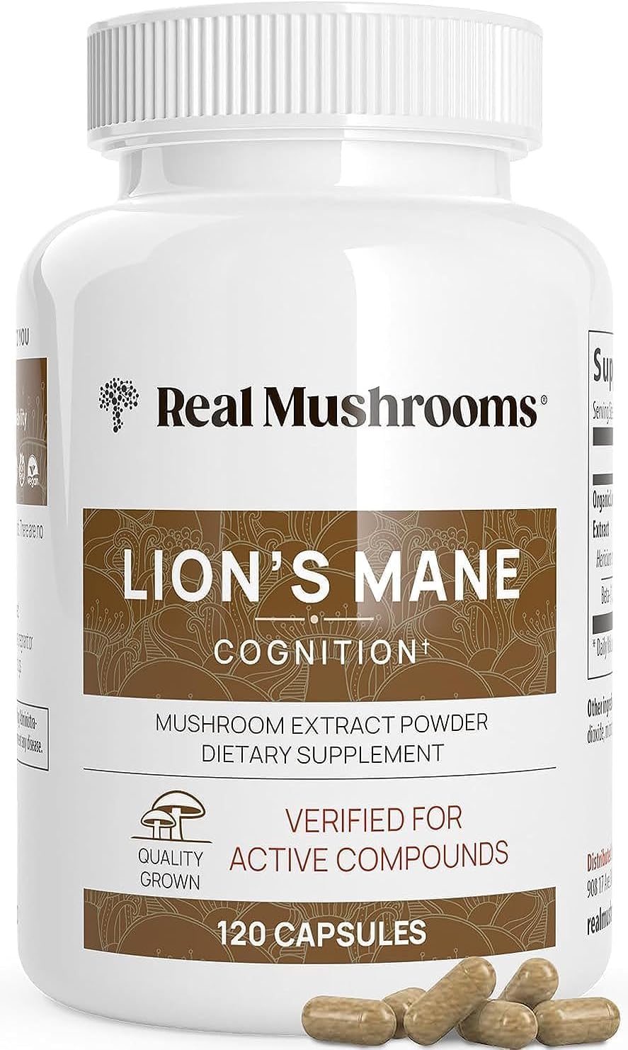 Lions Mane Mushroom Extract Capsules for Cognitive Support (120 Capsules) | Brain Boosting Supplement for Focus and Memory