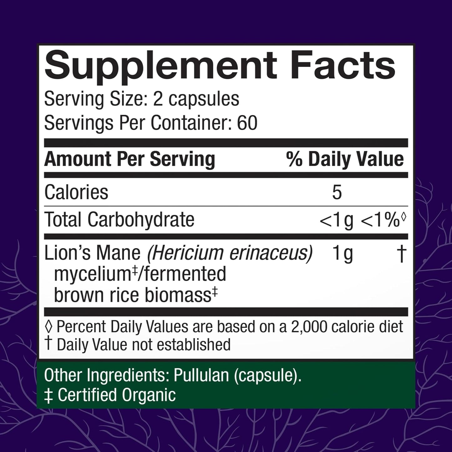 Lion's Mane Mushroom Supplement for Brain Health and Immune Support - 120 Capsules