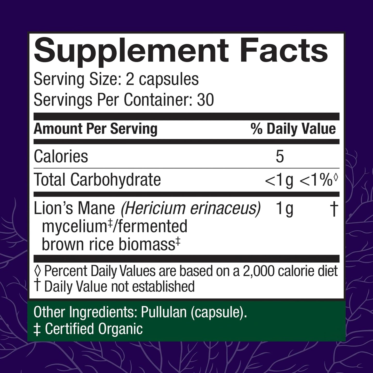 Lion's Mane Mushroom Supplement for Brain Health, Focus, and Memory - Immune and Nervous System Support - 60 Capsules