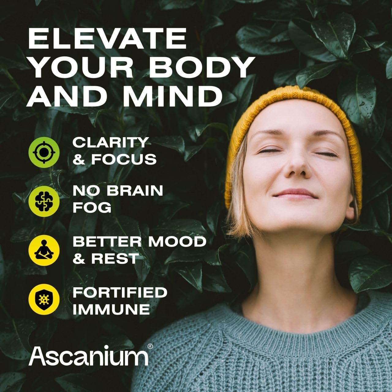Lions Mane Mushroom Supplement with Ascanium - Updated Formula
