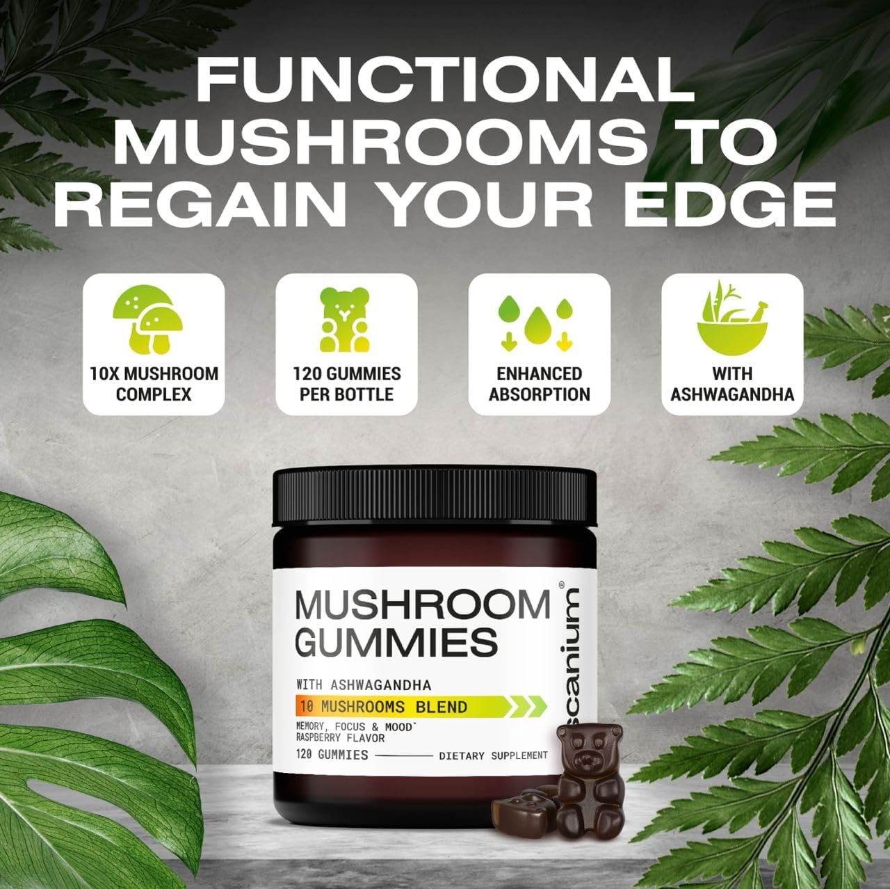 Lions Mane Mushroom Supplement with Ascanium - Updated Formula