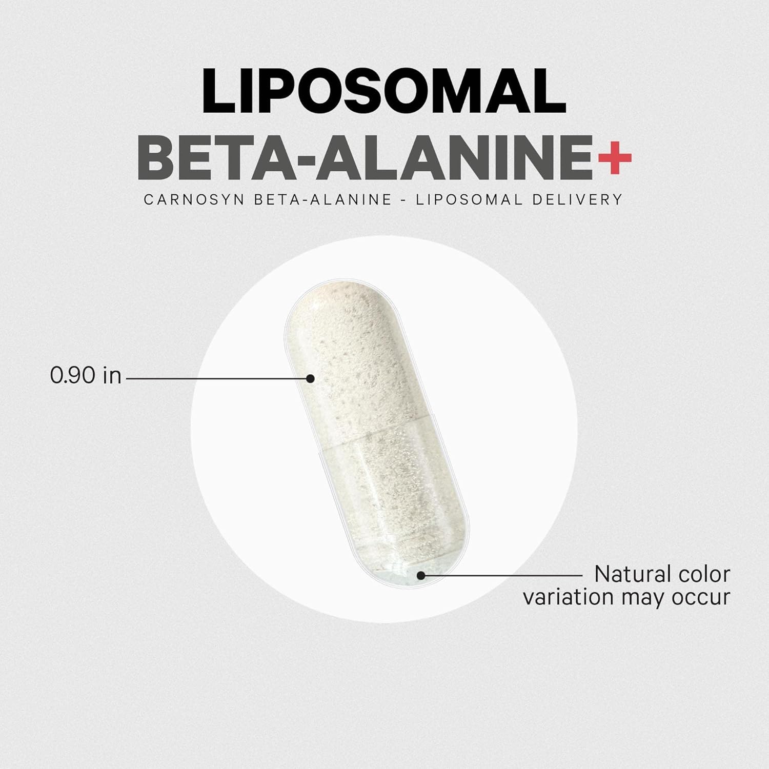 Liposomal Beta-Alanine Supplement 180 Capsules - CarnoSyn B-Alanine - Non-GMO - 2-Month Supply for Pre and Post Workout