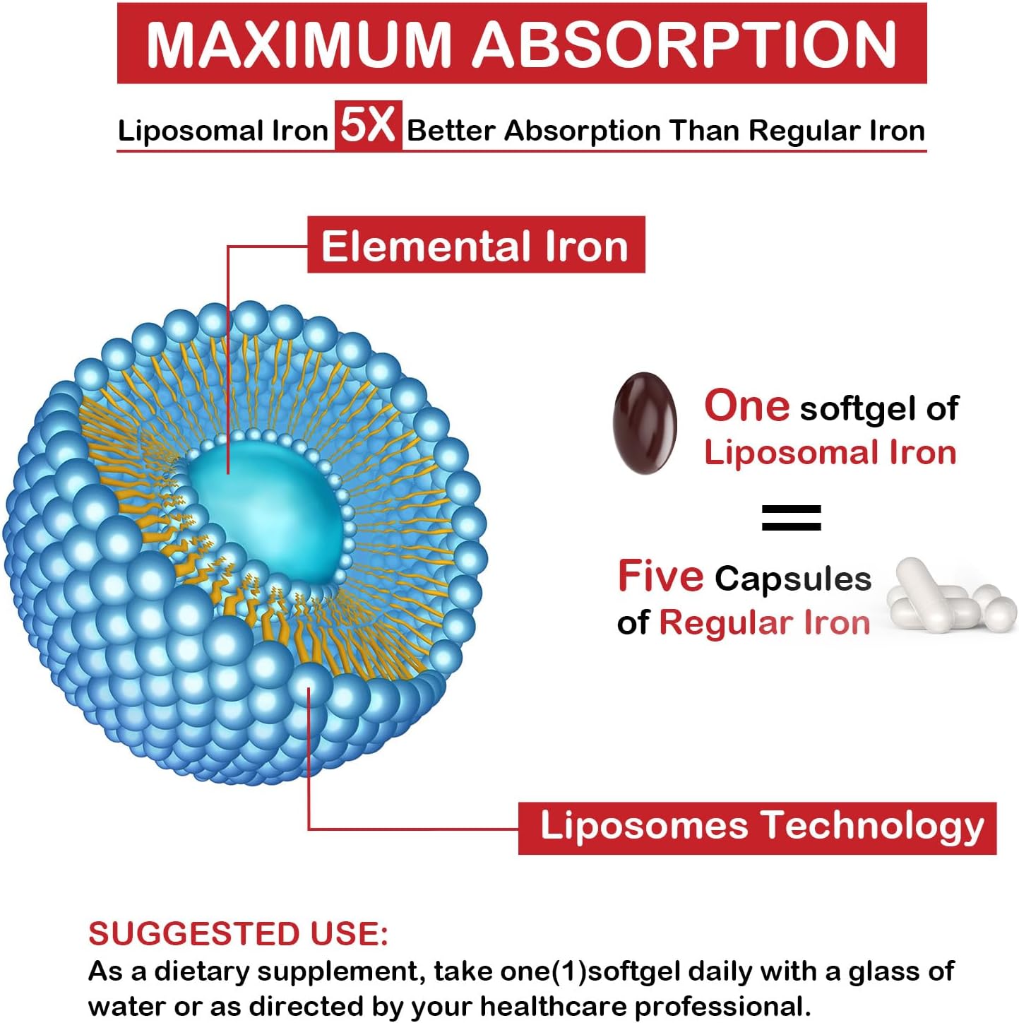 Liposomal Fe Iron Supplement for Women & Men - 65mg with Folic Acid & Vitamin B12 - Red Blood Cell Production & Energy Support - 60 Softgels - 2 Bottles