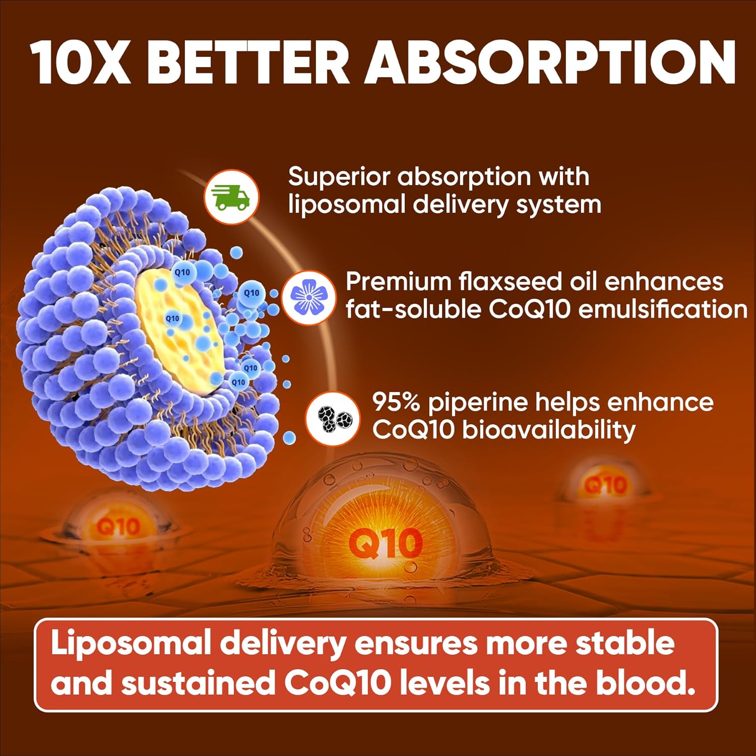 Liposomal Fisetin Softgels 1200mg + CoQ10-200mg Softgels Combo Pack