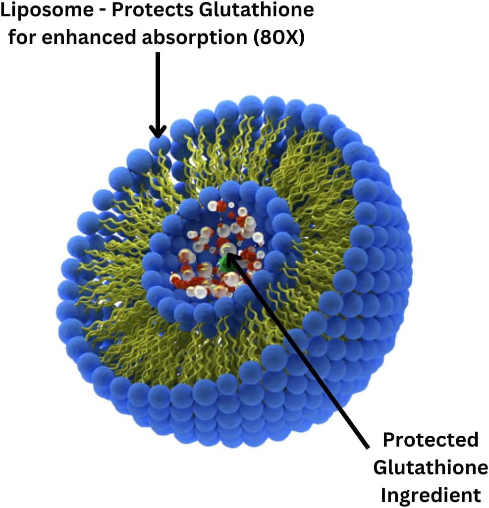 Liposomal Glutathione Supplement with Gluta-IV™ for 100x Enhanced Absorption - 2 for 1 Deal, 120 Total Softgels