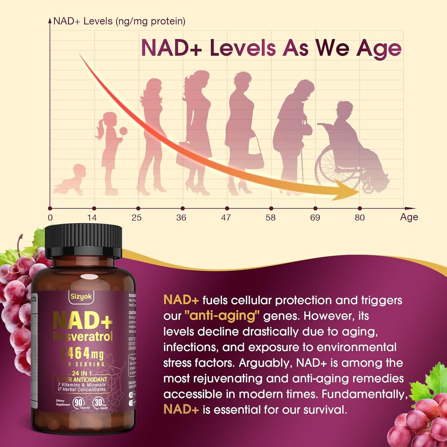 Liposomal NAD+ Resveratrol Supplement for Energy, Focus, and Anti-Aging - 120 Capsules