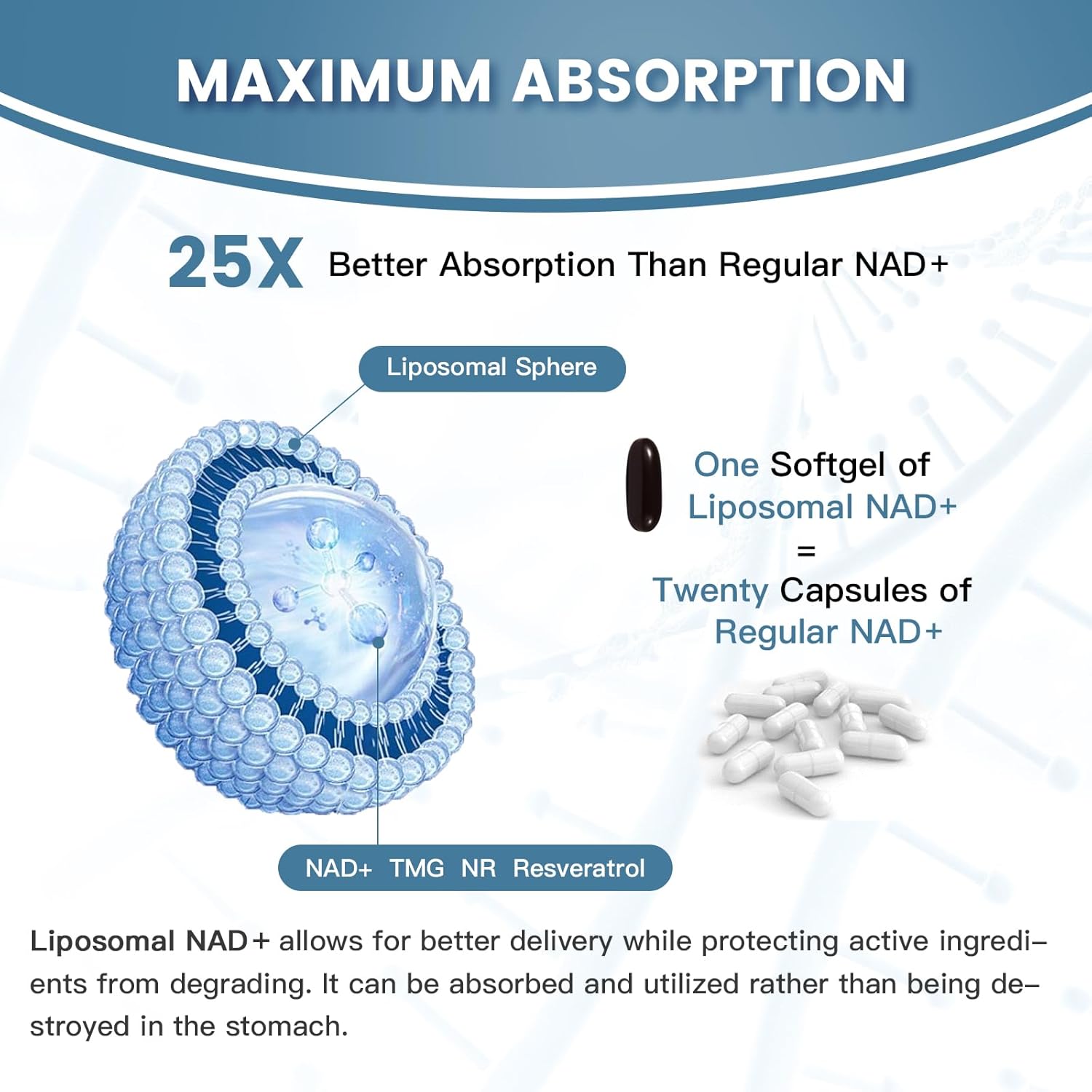 Liposomal NAD+ Supplement 1800mg with NR & Resveratrol, Boosts NAD+ Levels, Anti-Aging Defense, Cellular Energy Support - 60 Softgels