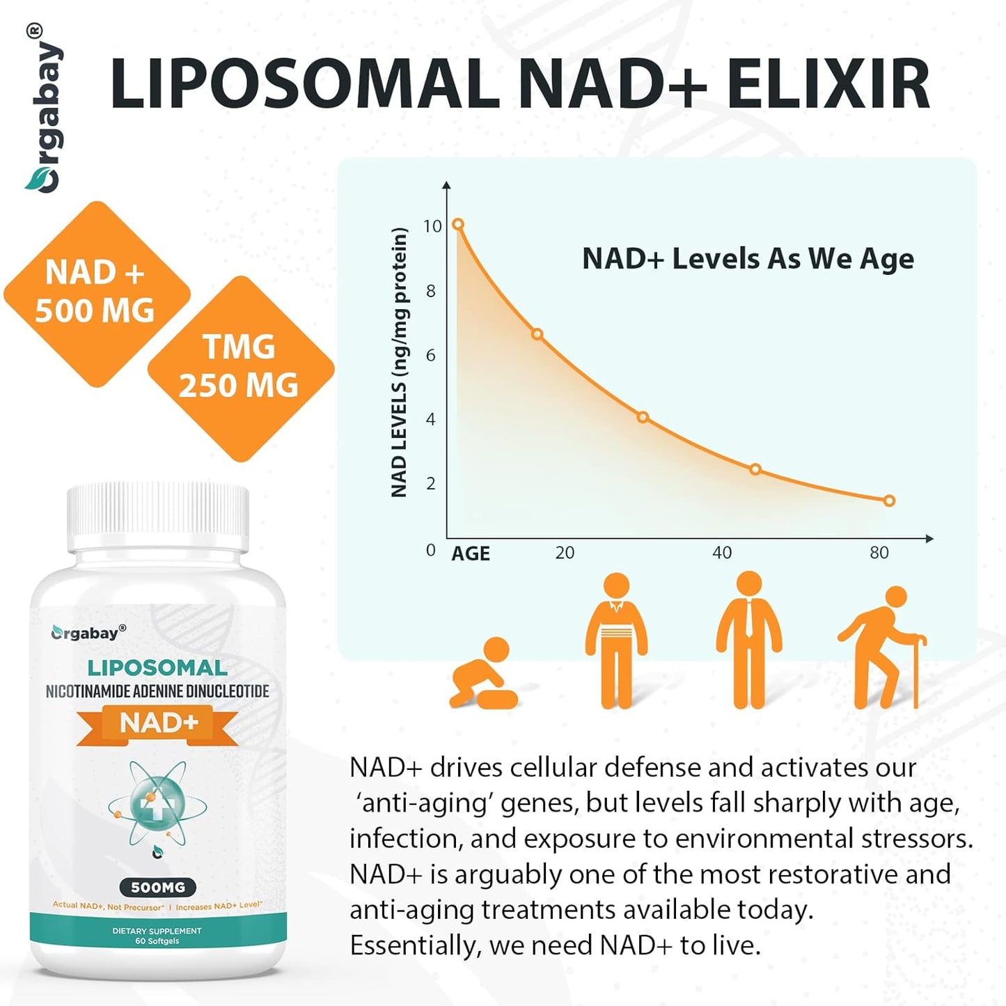 Liposomal NAD+ Supplement 500mg with TMG 250mg for Enhanced Absorption and Cellular Energy Support - 480 Softgels